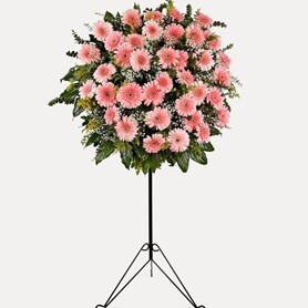 NO:10 PEMBE GERBERA FERFORJE FİYAT:3000 TL